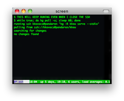 gnu screen screenshot